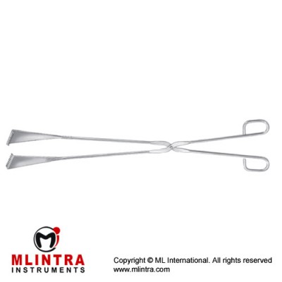 Sauerbruch Waste Forcep Stainless Steel, 55 cm - 21 1/2"